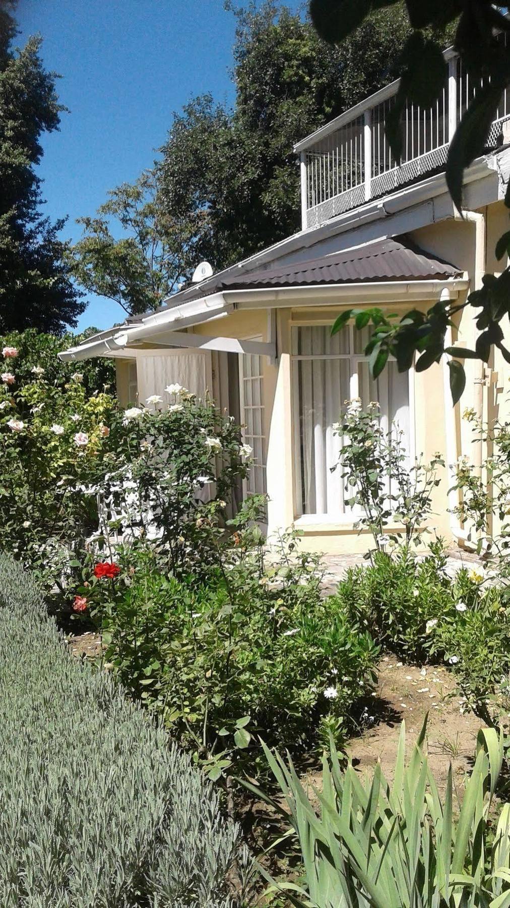 Albert House B&B Cradock Exterior photo